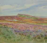Picture of the Week: <p>No apologies for another painting of the heather on the moors, it has been a good year for for it, and hopefully the bees as well</p>