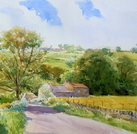 Picture of the Week: <p>Workhouse Lane in the Mayfield Valley leaves an unanswered question, was there a workhouse here? It is now a quiet lane with buttercups and cow parsley in the Summer sun.</p><p>I am participating in Derbyshire Open Arts this weekend and Monday at Beechenhill Farm, near Ilam , DE6 2BD. Many artists and crafts people, if visiting approach from Alstonefield, avoid Ilam village.</p>