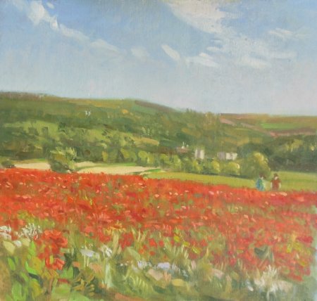 Picture of the Week: <p>Poppies in a field near Baslow with Chatsworth in the background. A splash of red seen from miles around</p>