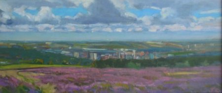 Picture of the Week: It was a good year for heather on Ringinglow moor this year, with the City in the background.