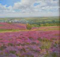 Picture of the Week: <p>Once again the heather is blooming around Sheffield, the smell of honey and the buzzing of bees as I stood near Ringinglow.</p>