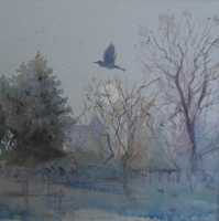 Picture of the Week: <p>I often go for an early morning walk through Millhouses Park and last week I disturbed the resident Heron, who gracefully lifted off and I followed it?s flight around the park as it flew over the setting moon.</p><p>Happy Christmas and a prosperous New Year to all subscribers of Just Up My Street</p>