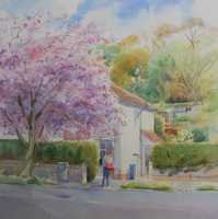 Picture of the Week: <p>Carterknowle Road is pink with Cherry Blossom and the postman delivers mail in the early morning.</p>