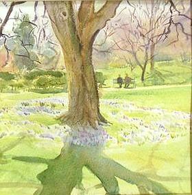 Picture of the Week: <p>I found a quiet place to paint the new crocuses in the Botanical gardens which are abundant, when I looked up to see the local photographic club pointing their cameras at me. Is an ?apperture of photographers? the collective noun I mused.</p>
