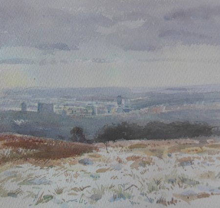 Picture of the Week: <p>I have often painted the City from this spot but not in the snow before. After starting, the view dissapeared in a snow storm and did return.</p>