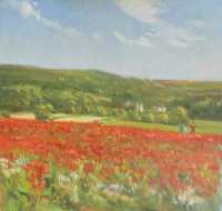 Picture of the Week: <p>Poppies in a field near Baslow with Chatsworth in the background. A splash of red seen from miles around</p>