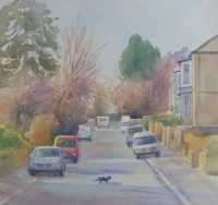 Picture of the Week: <p>A black cat crosses the road in Nether Edge, more good luck!</p>