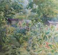 Picture of the Week: <p>I admit to being drawn to allotments, a longing for the soil (and a shed) perhaps. This was painted while the overhanging trees cast dappled shadows on the nettles and cardoons</p>