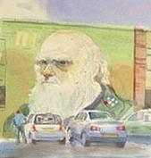 Picture of the Week: <p>A fine piece of wall art is on Sidney Street, Charles Darwin looks down on all pasers by.</p>