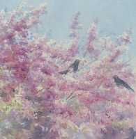 Picture of the Week: <p>Passing down Montgomery Road I passed some blackbirds clucking at each other in the Cherry Blossoms.</p>